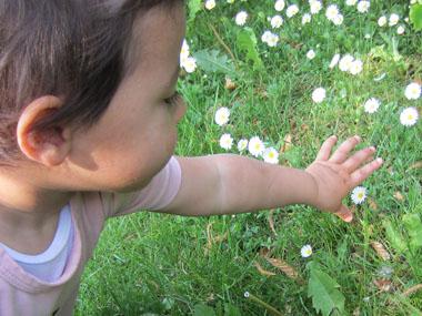 barn griber efter blomster i en græseng